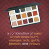 Ccolor Savanna 15 Color Eyeshadow Palette - amLux